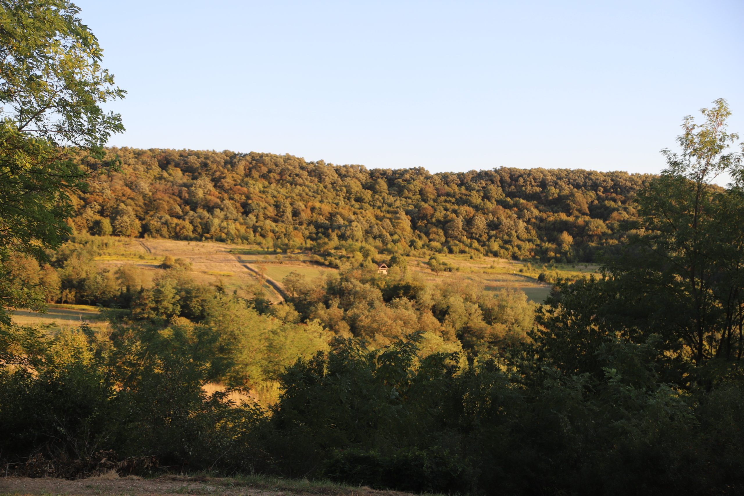 Home img-6147
